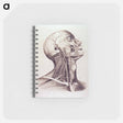 アートメモ帳-Muscles and Arteries of the Neck and Head
 - 国立医学図書館 Memo.