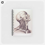 アートメモ帳-Muscles and Arteries of the Neck and Head
 - 国立医学図書館 Memo.