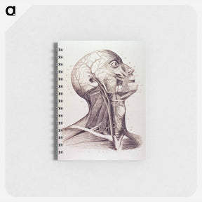 アートメモ帳-Muscles and Arteries of the Neck and Head
 - 国立医学図書館 Memo.