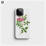 Rosa Pomponiana Muscosa - Pierre Joseph Redouté Phone Case.