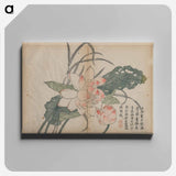アートパネル-Flowering Lotus and Bud
 - クリーブランド美術館 Canvas.