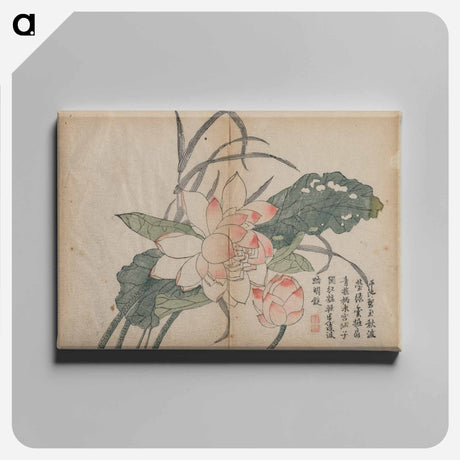 アートパネル-Flowering Lotus and Bud
 - クリーブランド美術館 Canvas.