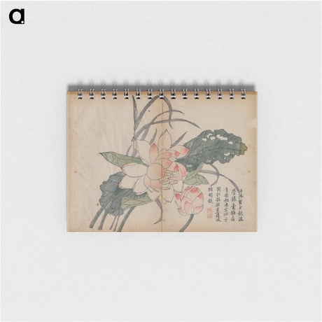 アートメモ帳-Flowering Lotus and Bud
 - クリーブランド美術館 Memo.
