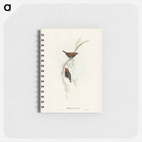 アートメモ帳-Painted Finch
 - ジョン グールド Memo.