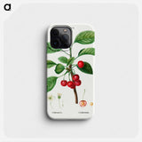 Cherry (Cerasus) - Pierre Joseph Redouté Phone Case.