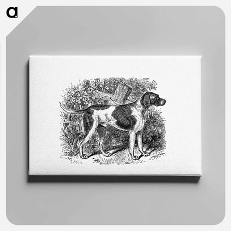 アートパネル-Rustic Pet Dog
 - 大英図書館 Canvas.