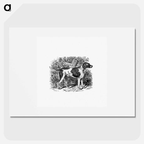 アートポスター-Rustic Pet Dog
 - 大英図書館 Poster.