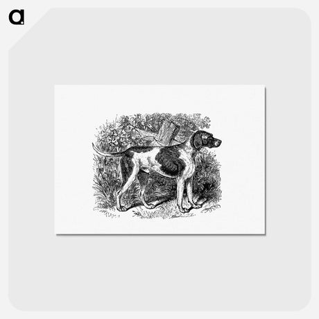 アートポストカード-Rustic Pet Dog
 - 大英図書館 Postcard.