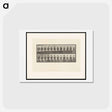 アートポストカード-Camel Walking
 - エドワード マイブリッジ Postcard.