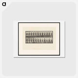アートポストカード-Camel Walking
 - エドワード マイブリッジ Postcard.