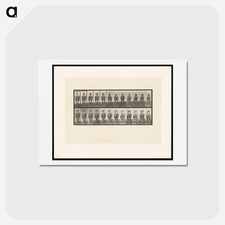 アートポストカード-Camel Walking
 - エドワード マイブリッジ Postcard.