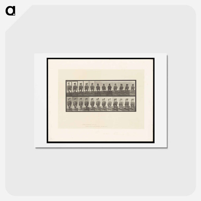 アートポストカード-Camel Walking
 - エドワード マイブリッジ Postcard.
