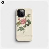 Rose illustration - Pierre Joseph Redouté Phone Case.