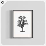 アートポスター-Tropical Tree from The West From Notebook Of A Traveler. In The Land Of Veddas, Ceylon
 - 大英図書館 Poster.