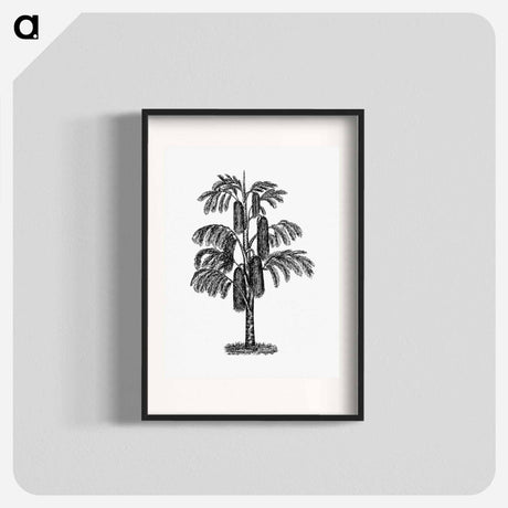 アートポスター-Tropical Tree from The West From Notebook Of A Traveler. In The Land Of Veddas, Ceylon
 - 大英図書館 Poster.