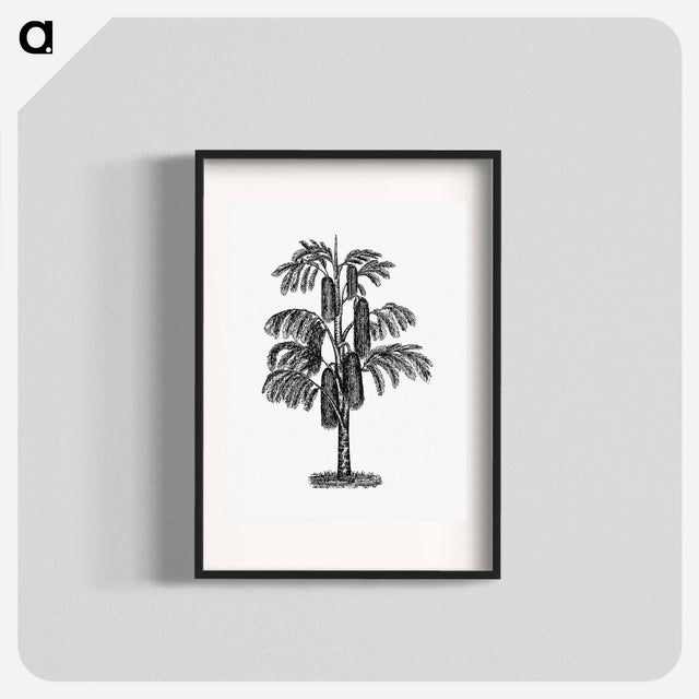 アートポスター-Tropical Tree from The West From Notebook Of A Traveler. In The Land Of Veddas, Ceylon
 - 大英図書館 Poster.