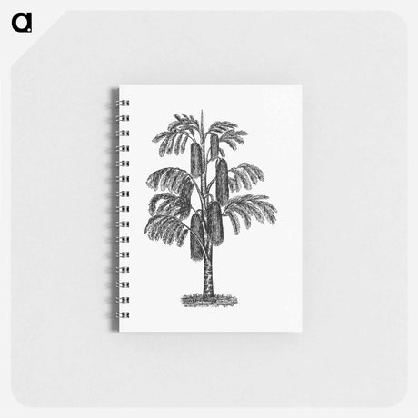 アートメモ帳-Tropical Tree from The West From Notebook Of A Traveler. In The Land Of Veddas, Ceylon
 - 大英図書館 Memo.