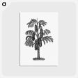 アートポストカード-Tropical Tree from The West From Notebook Of A Traveler. In The Land Of Veddas, Ceylon
 - 大英図書館 Postcard.