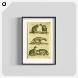 アートポスター-Historiae naturalis de quadrupedibus libri
 - 国立医学図書館 Poster.