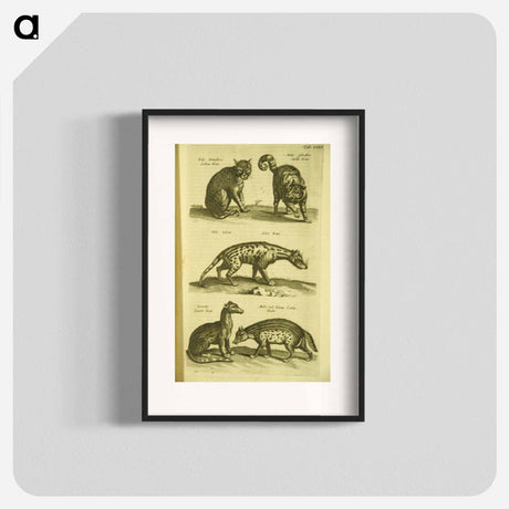 アートポスター-Historiae naturalis de quadrupedibus libri
 - 国立医学図書館 Poster.