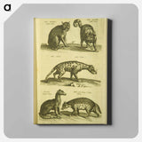 アートパネル-Historiae naturalis de quadrupedibus libri
 - 国立医学図書館 Canvas.