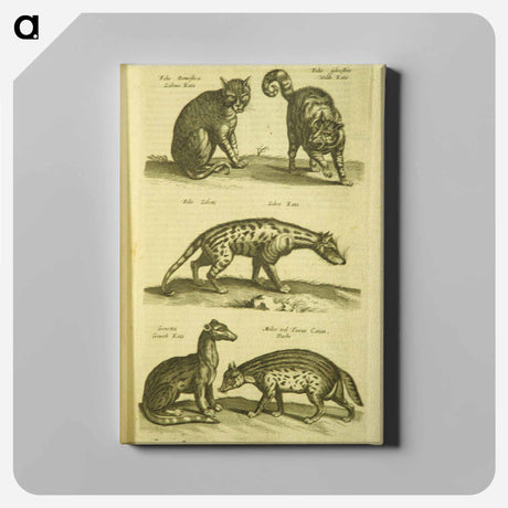 アートパネル-Historiae naturalis de quadrupedibus libri
 - 国立医学図書館 Canvas.
