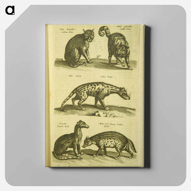 アートパネル-Historiae naturalis de quadrupedibus libri
 - 国立医学図書館 Canvas.