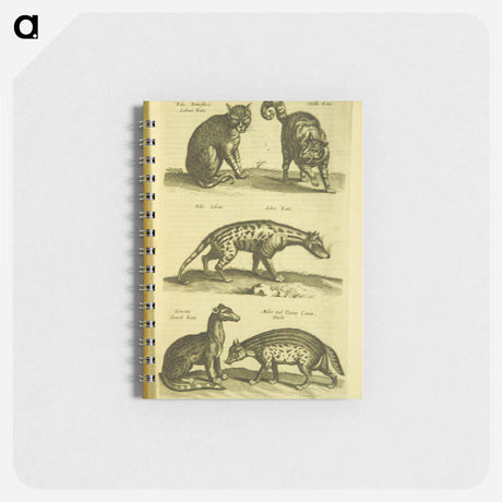 アートメモ帳-Historiae naturalis de quadrupedibus libri
 - 国立医学図書館 Memo.