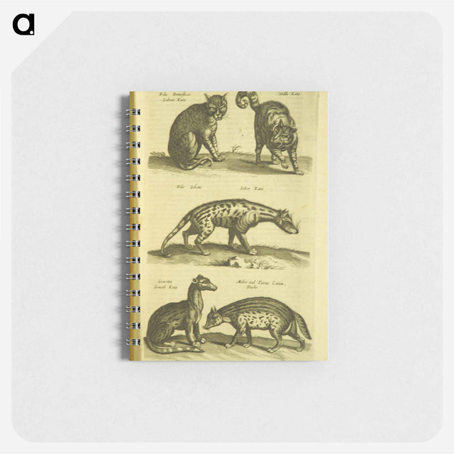 アートメモ帳-Historiae naturalis de quadrupedibus libri
 - 国立医学図書館 Memo.
