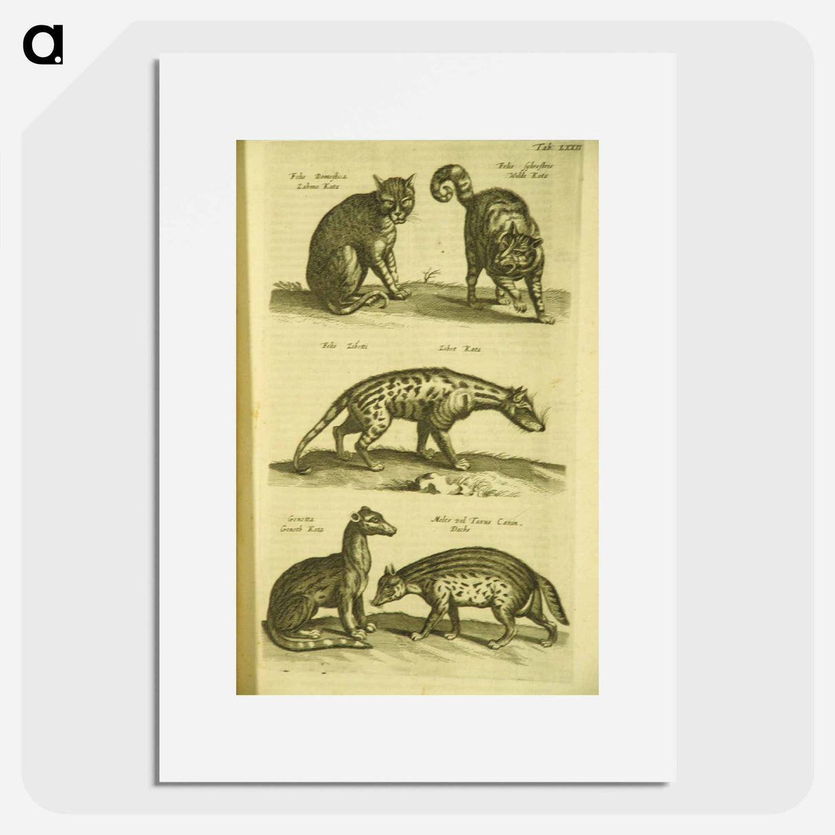 アートポスター-Historiae naturalis de quadrupedibus libri
 - 国立医学図書館 Poster.