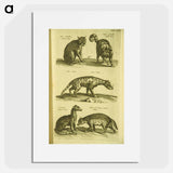 アートポスター-Historiae naturalis de quadrupedibus libri
 - 国立医学図書館 Poster.