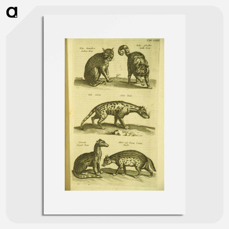 アートポスター-Historiae naturalis de quadrupedibus libri
 - 国立医学図書館 Poster.