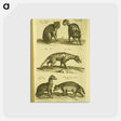 アートポストカード-Historiae naturalis de quadrupedibus libri
 - 国立医学図書館 Postcard.
