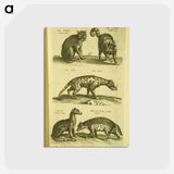 アートポストカード-Historiae naturalis de quadrupedibus libri
 - 国立医学図書館 Postcard.