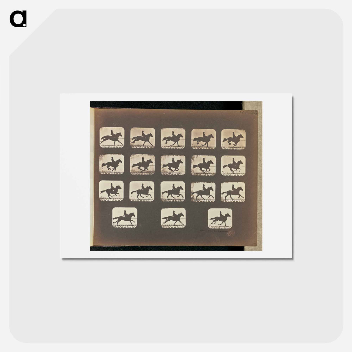 アートポストカード-Running (Galloping)
 - エドワード マイブリッジ Postcard.