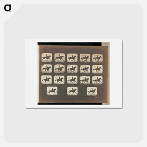 アートポストカード-Running (Galloping)
 - エドワード マイブリッジ Postcard.
