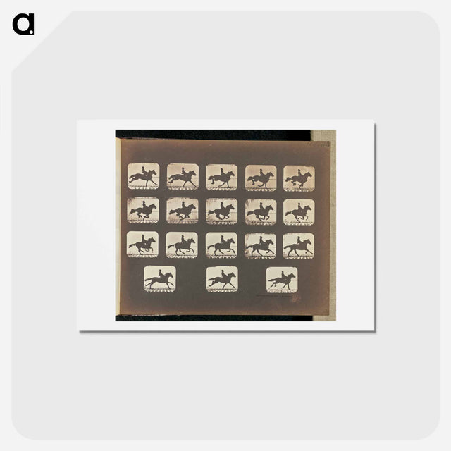 アートポストカード-Running (Galloping)
 - エドワード マイブリッジ Postcard.