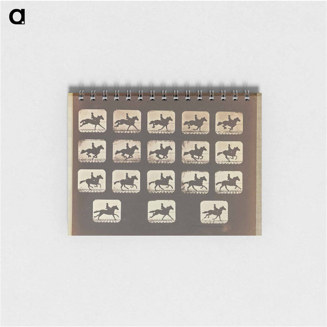 アートメモ帳-Running (Galloping)
 - エドワード マイブリッジ Memo.