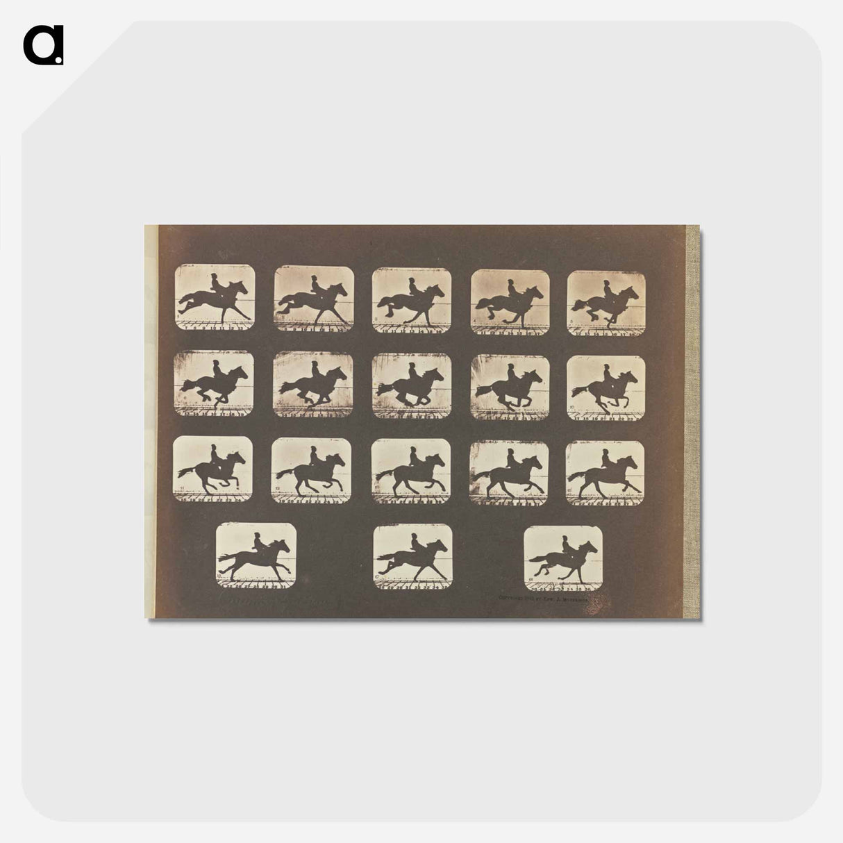 アートポストカード-Running (Galloping)
 - エドワード マイブリッジ Postcard.