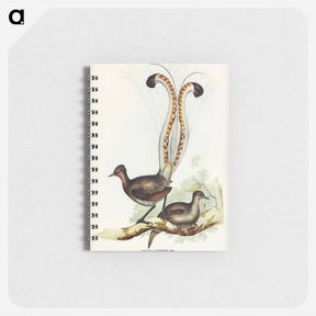 アートメモ帳-Lyre Bird
 - ジョン グールド Memo.