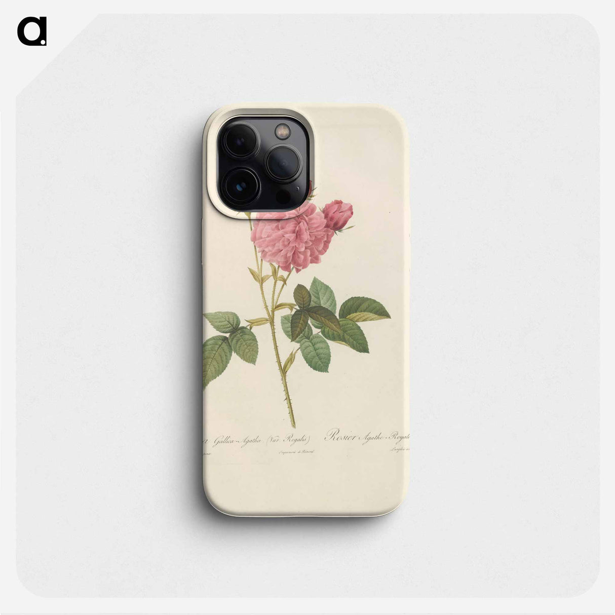 Rose illustration - Pierre Joseph Redouté Phone Case.