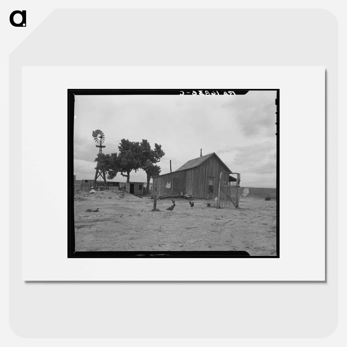 Texas tenant farmer's house - Dorothea Lange Poster.