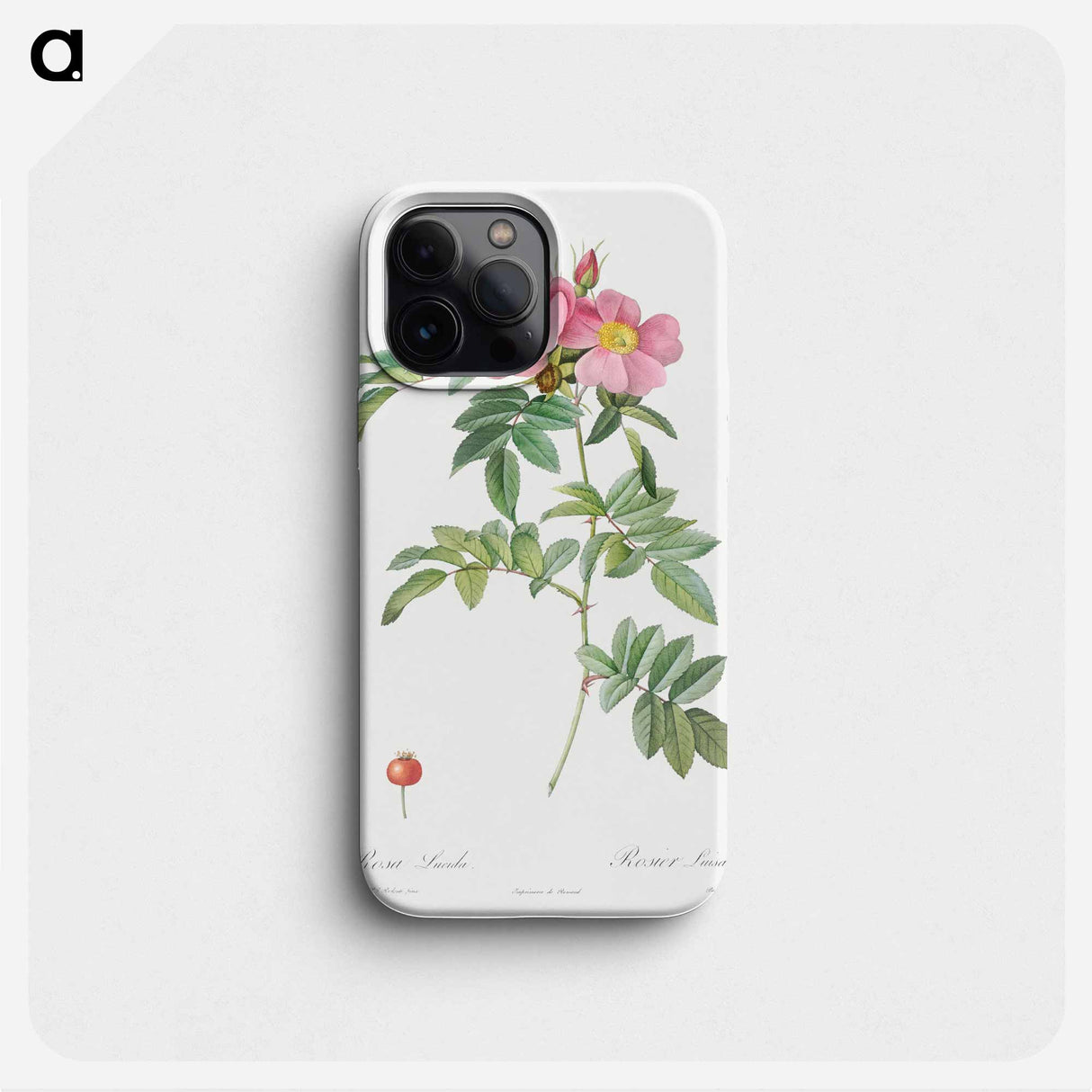 Rosa lucida - Pierre Joseph Redouté Phone Case.