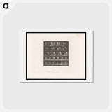 アートポストカード-Boxing Fall
 - エドワード マイブリッジ Postcard.