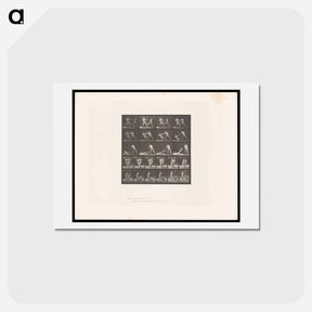 アートポストカード-Boxing Fall
 - エドワード マイブリッジ Postcard.