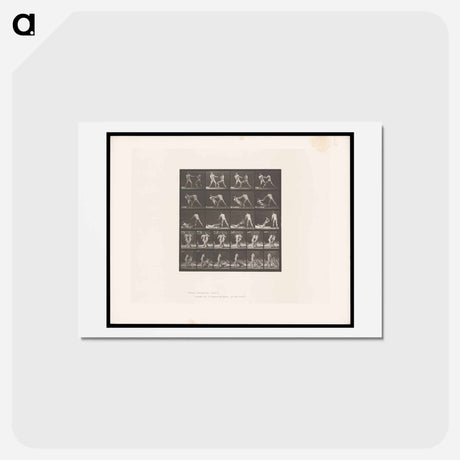アートポストカード-Boxing Fall
 - エドワード マイブリッジ Postcard.