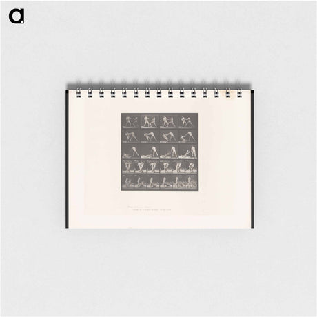 アートメモ帳-Boxing Fall
 - エドワード マイブリッジ Memo.