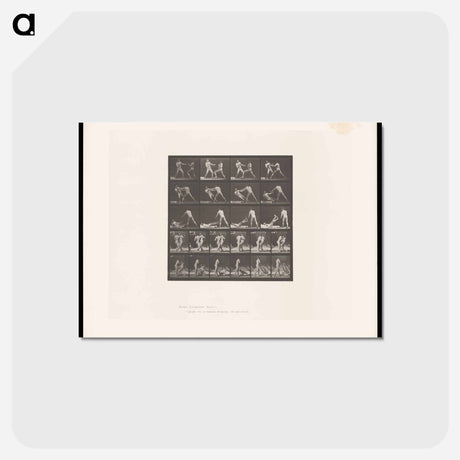 アートポストカード-Boxing Fall
 - エドワード マイブリッジ Postcard.