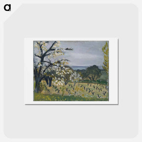 アートポストカード-Landscape, Nice - アンリ マティス Postcard.
