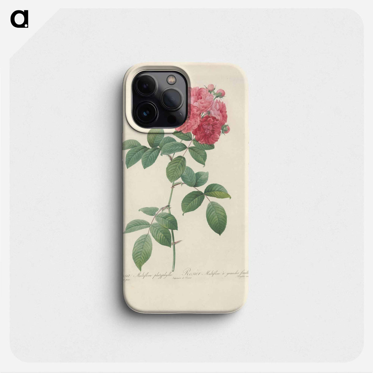 Rose illustration - Pierre Joseph Redouté Phone Case.